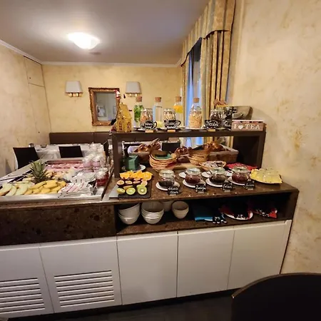 千禧酒店 酒店 洛迦诺